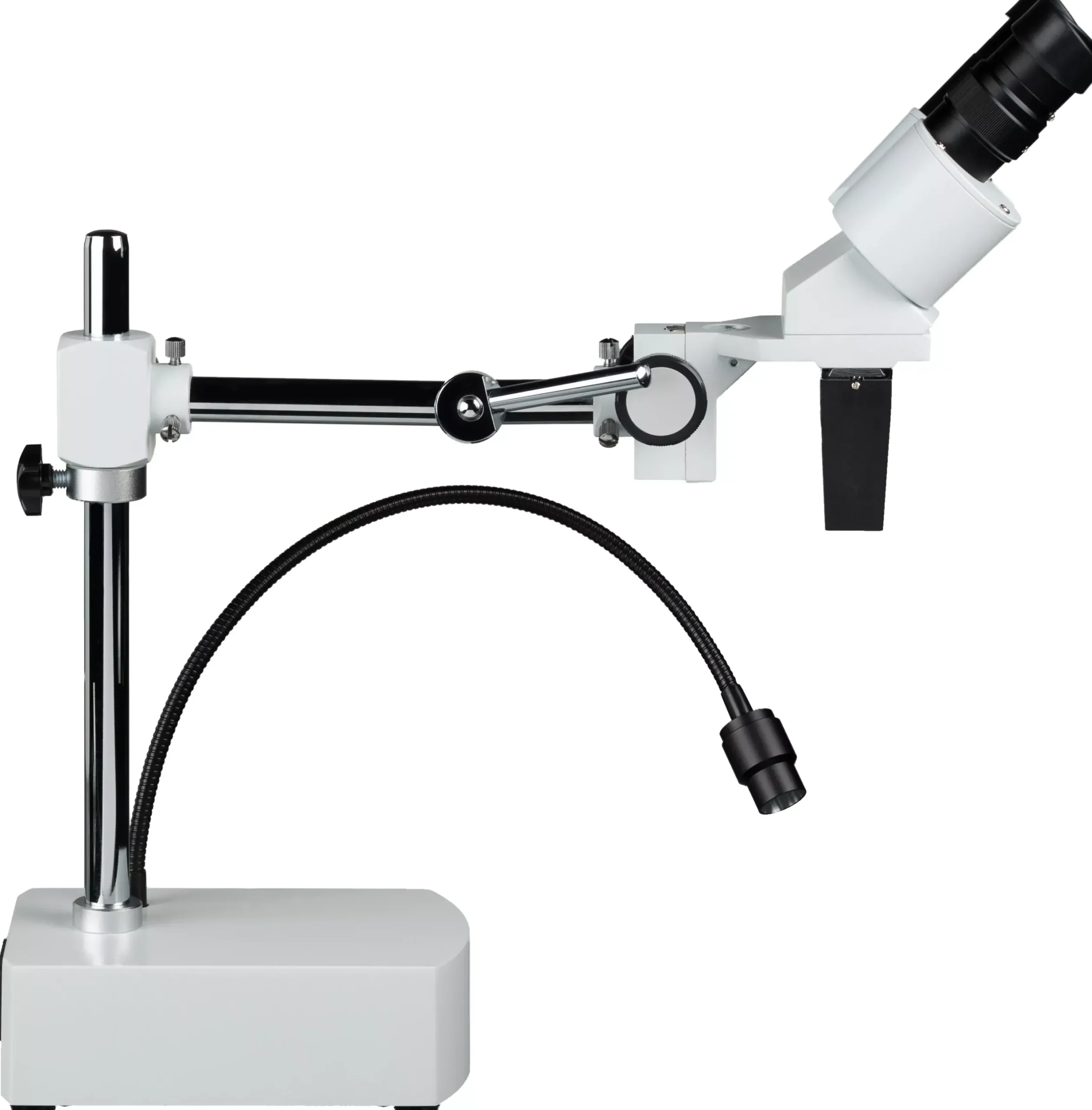 Biorit ICD CS Stereomikroskop LED>Bresser Outlet