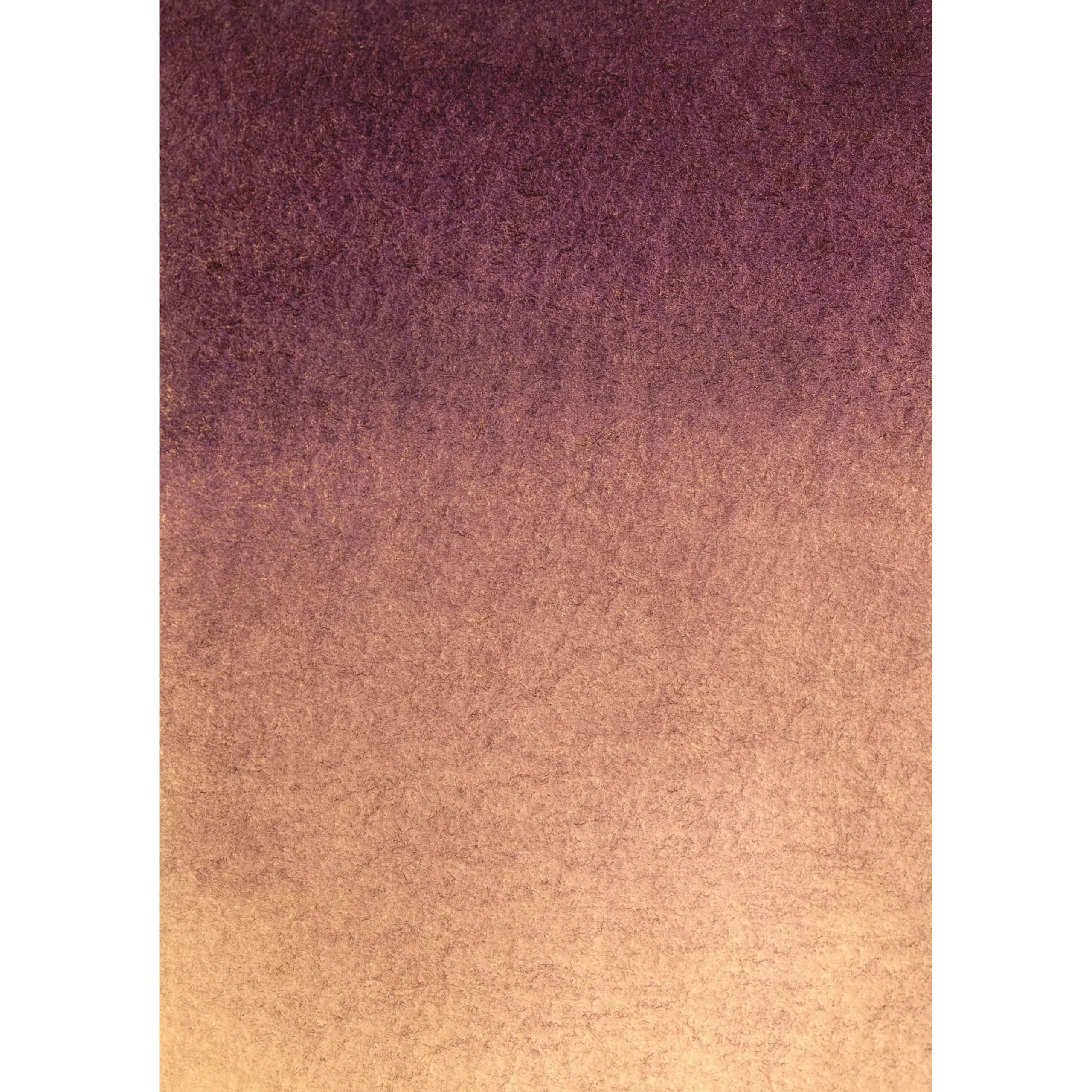 Hintergrundstoff mit Fotomotiv 80 x 120 cm - Lila Beige>Bresser Discount