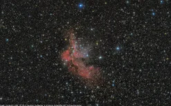 Messier NT-203s/800 EXOS-2/EQ5 Teleskop>Bresser Best Sale