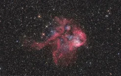Messier NT-203s/800 EXOS-2/EQ5 Teleskop><noscript><img width=