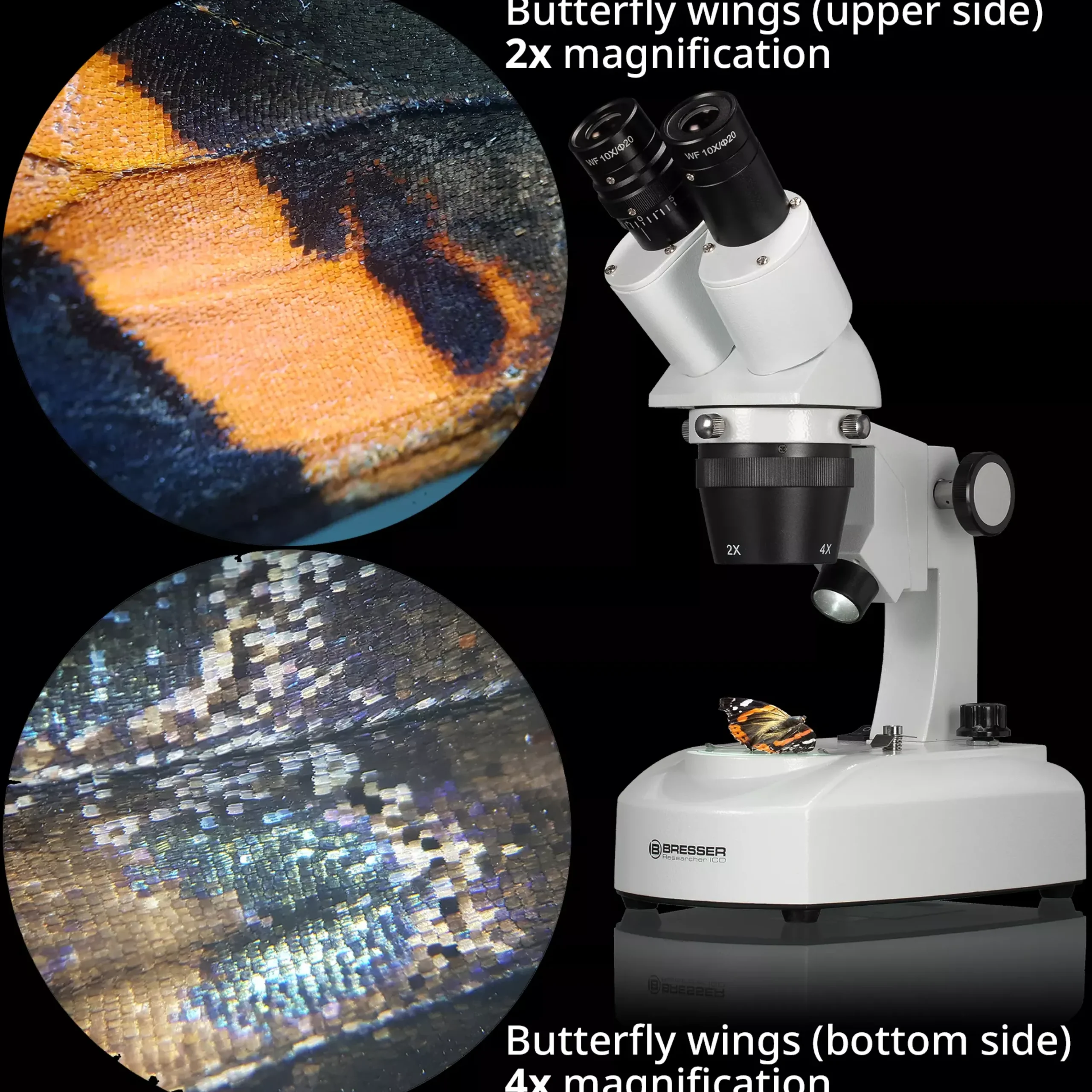 Researcher ICD LED 20x-80x Stereomikroskop>Bresser Fashion