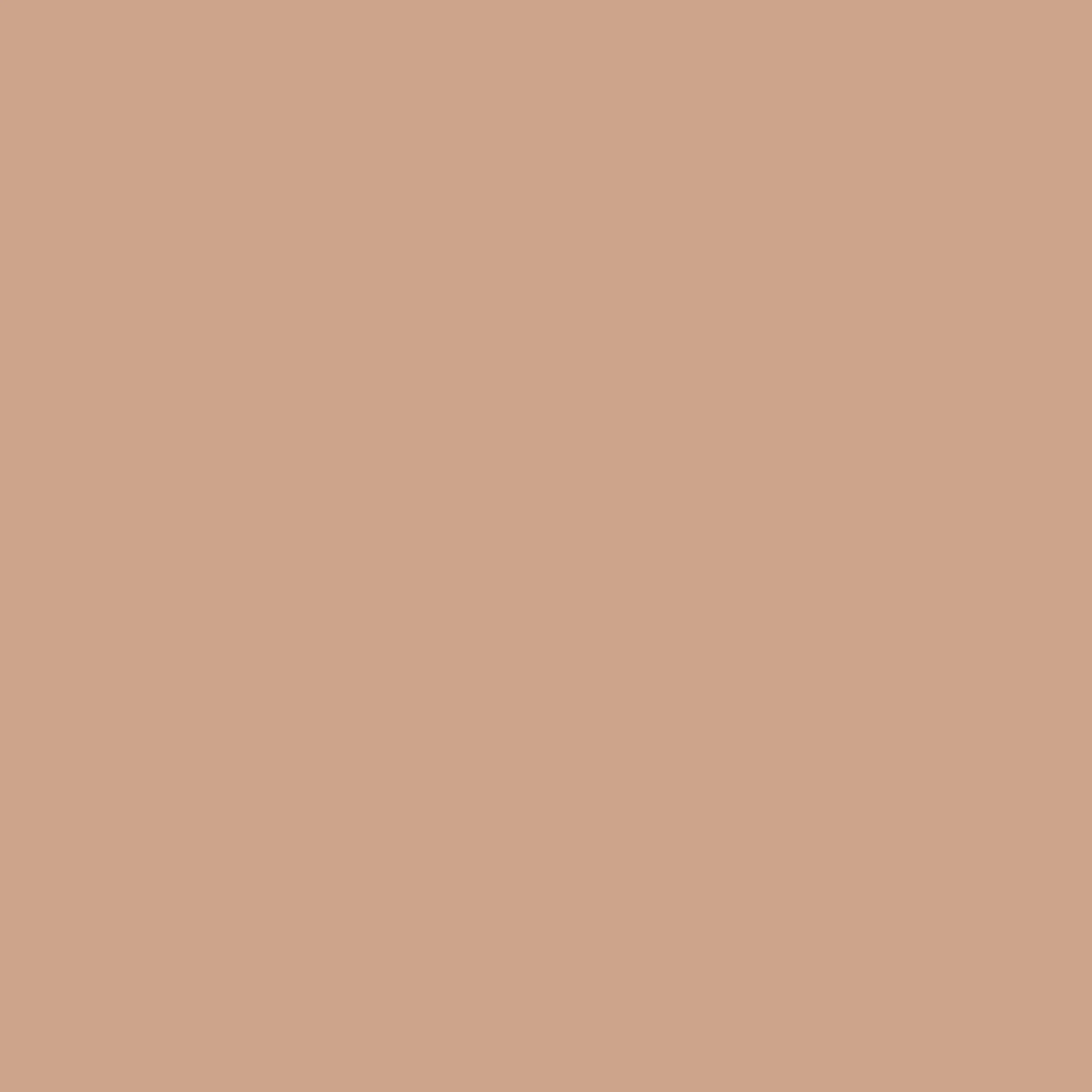 SBP29 Papierhintergrundrolle 1,36 x 11m Helles Beige>Bresser Cheap