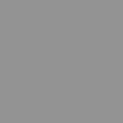 SBP17 Papierhintergrundrolle 2,00 x 11m Grau>Bresser Best Sale