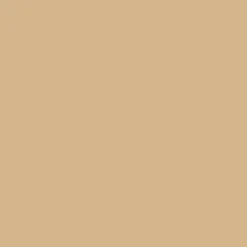 SBP15 Papierhintergrundrolle 2,00 x 11m Beige>Bresser Flash Sale