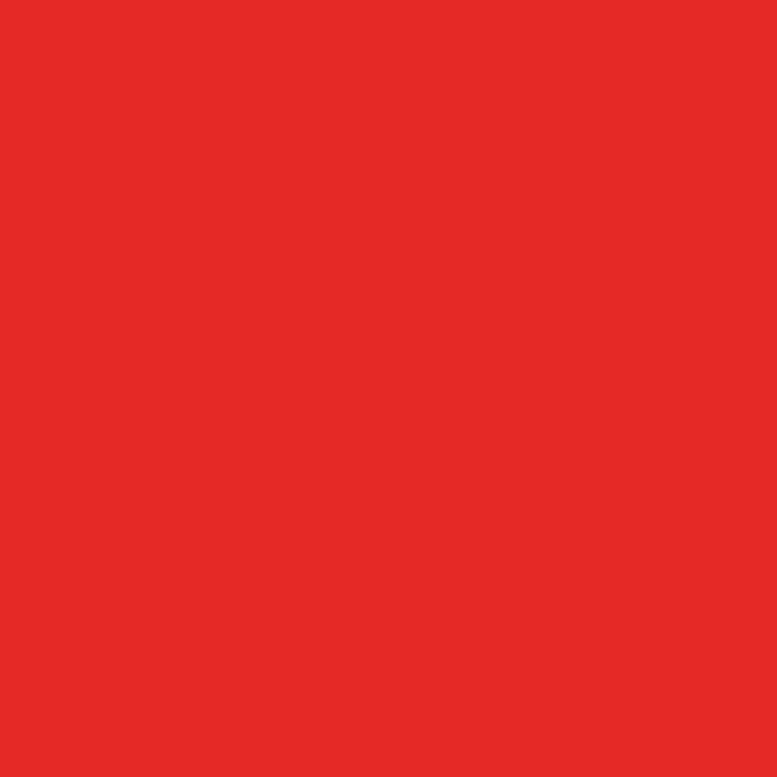 SBP05 Papierhintergrundrolle 2,72 x 11m Rot>Bresser Outlet