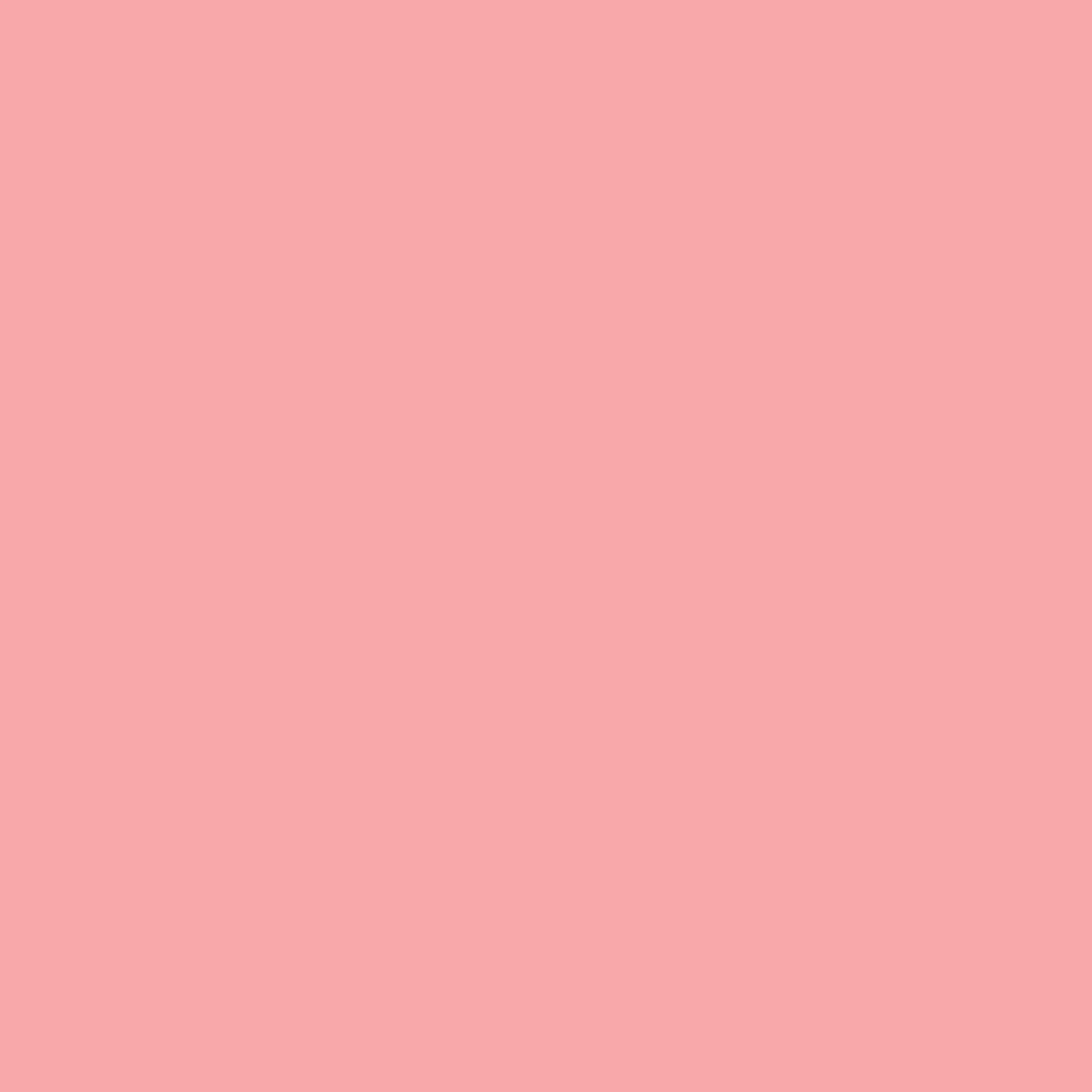 SBP12 Papierhintergrundrolle 2,72 x 11m Rosa>Bresser Shop