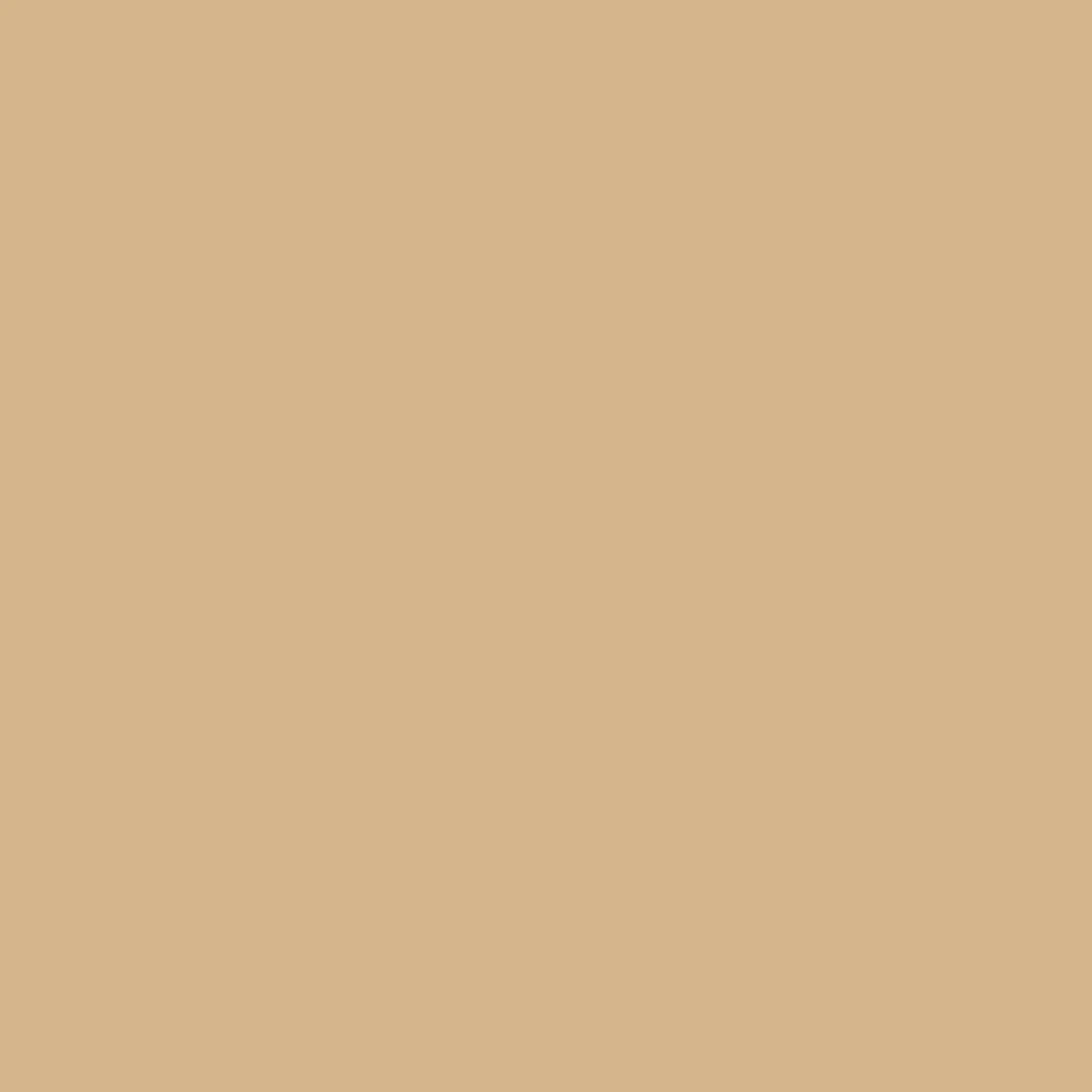 SBP15 Papierhintergrundrolle 2,72 x 11m Beige>Bresser Store