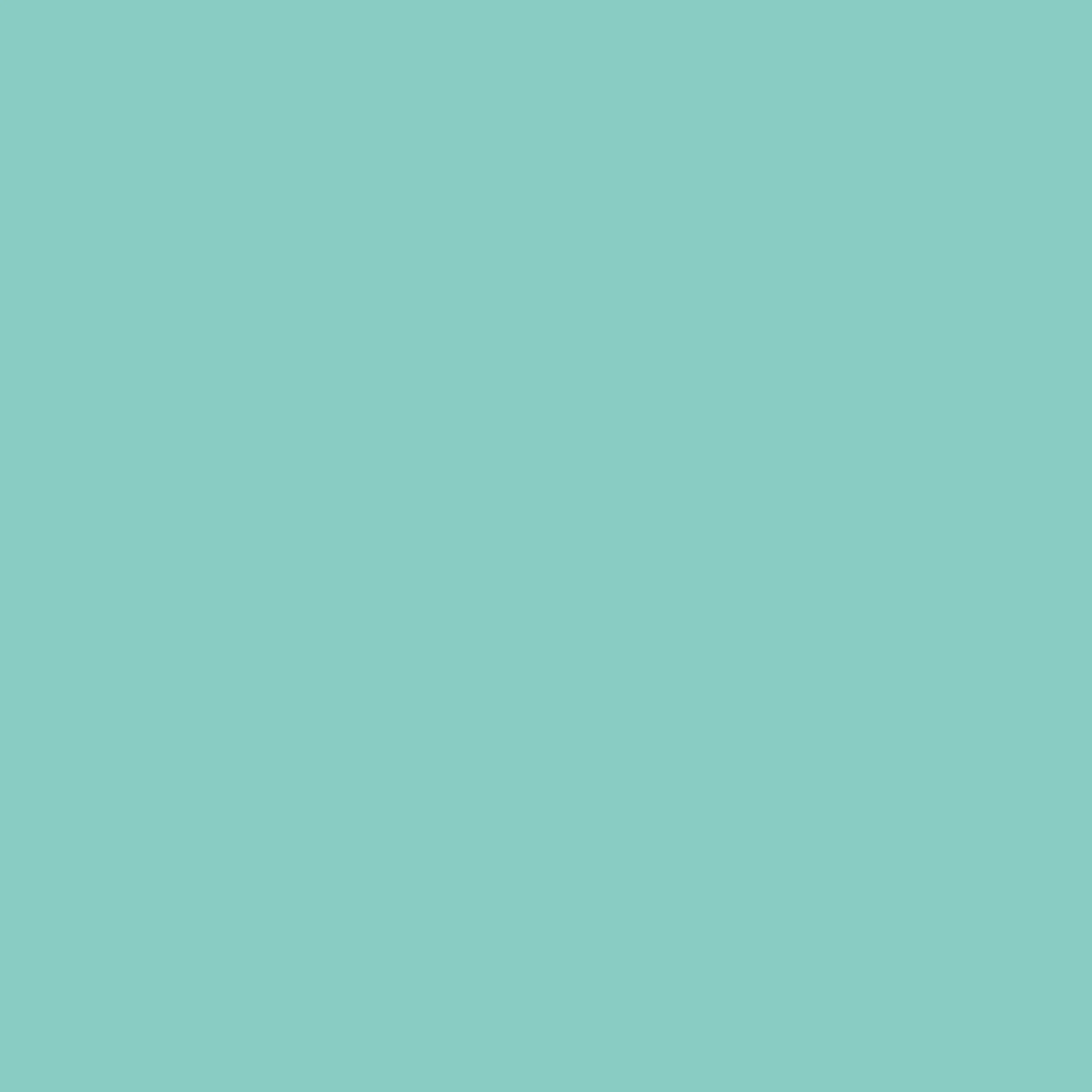 SBP18 Papierhintergrundrolle 2,72 x 11m Blau>Bresser Fashion