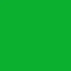 SBP10 Papierhintergrundrolle 3,56 x 15m Greenscreen/ Chromakey Grün>Bresser Cheap