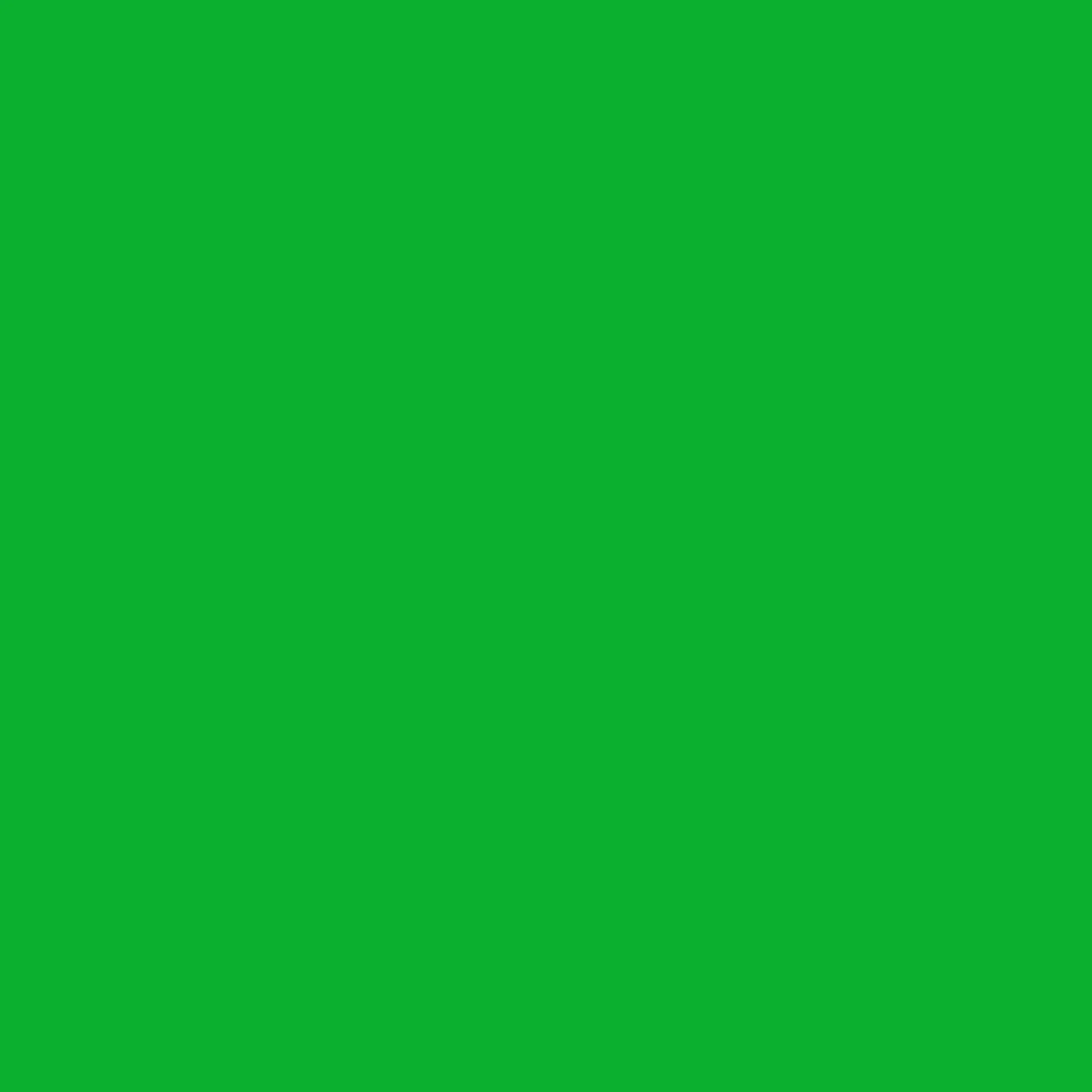 SBP10 Papierhintergrundrolle 3,56 x 15m Greenscreen/ Chromakey Grün>Bresser Cheap