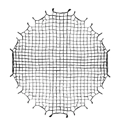 Wabe für Super Quick Octabox 120 cm>Bresser Best