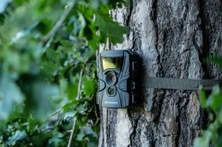 60°-Wild-Beobachtungskamera 5-20 MP 20 m><noscript><img width=