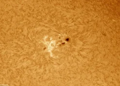 LUNT LS100FHa/B600d1 H-Alpha Sonnenfilter><noscript><img width=
