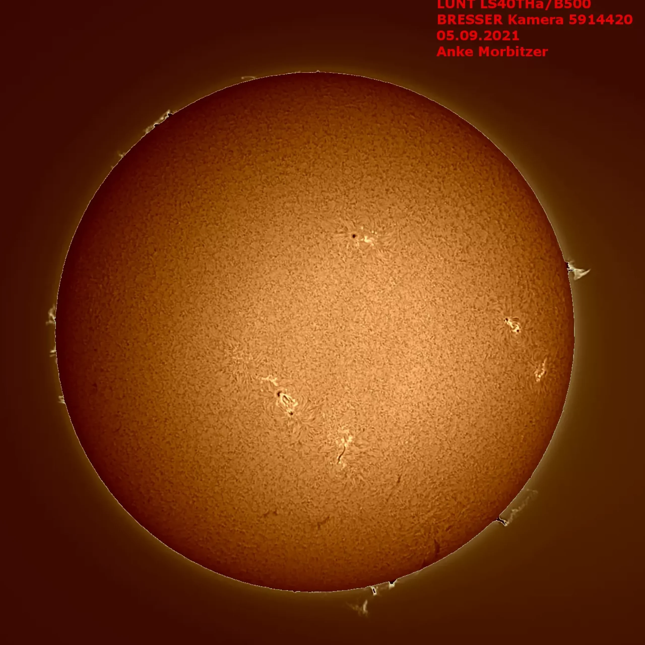 LUNT LS40THa/B600 H-Alpha Sonnenteleskop>Bresser Cheap