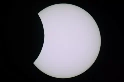 LUNT Sonnenfinsternis-Brille (5 Stück)><noscript><img width=