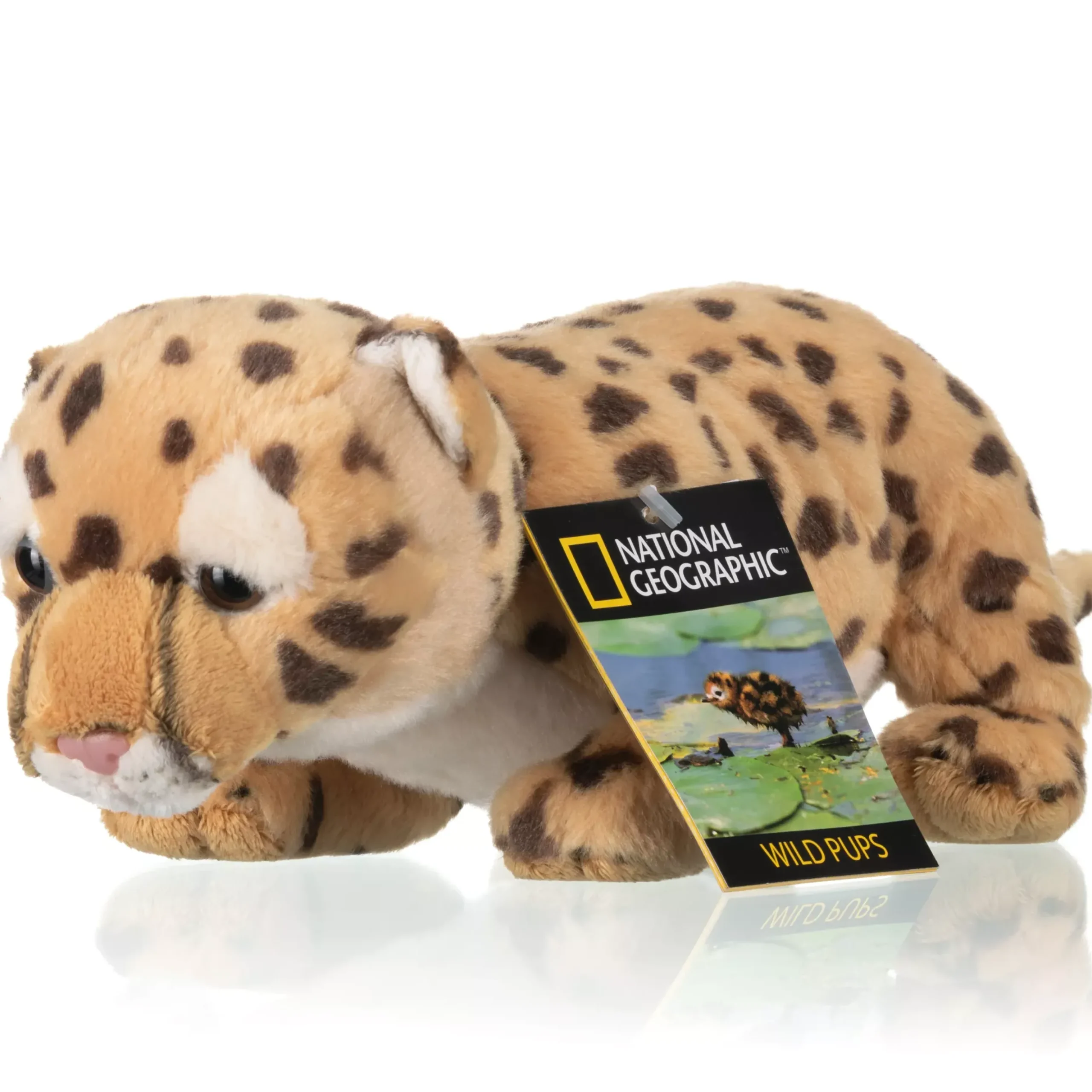 NATIONAL GEOGRAPHIC Tierbabys aus Plüsch>Bresser Shop